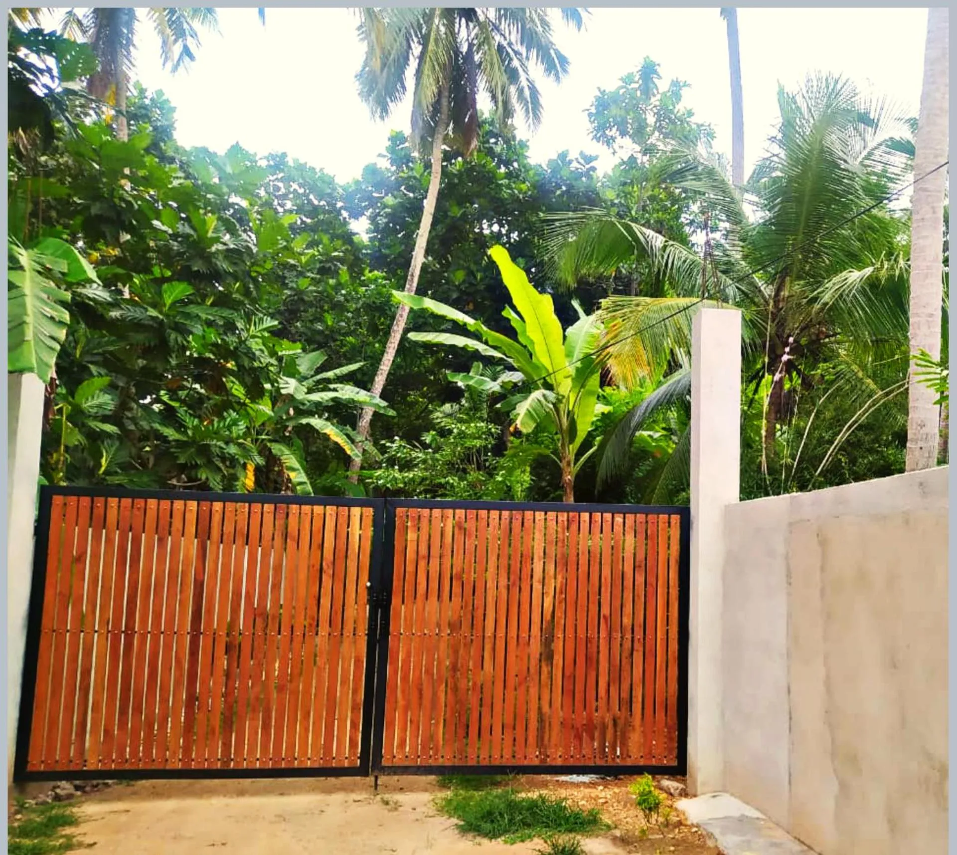 Banana Leaf Garden