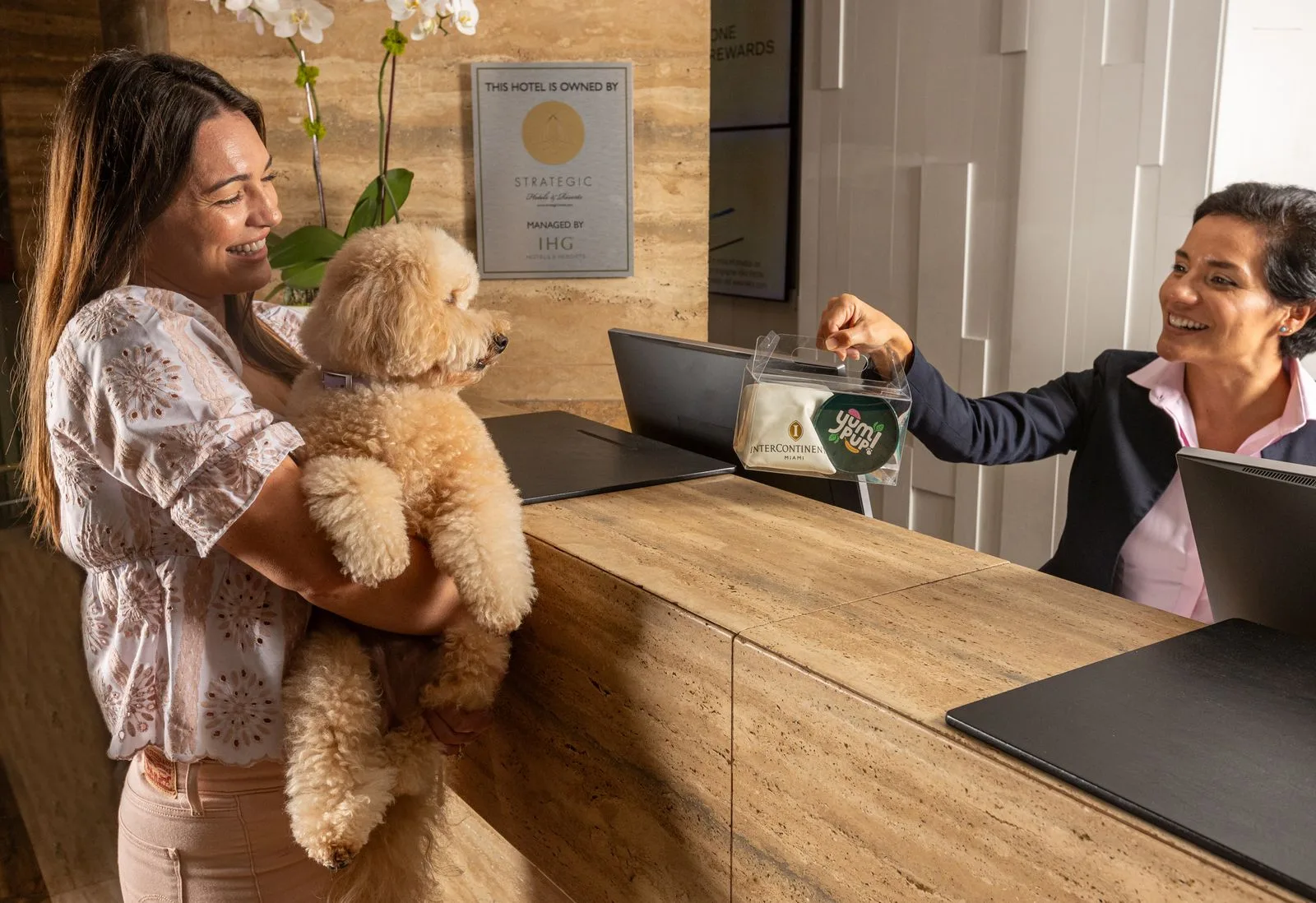 InterContinental Miami, a dog friendly hotel in Miami