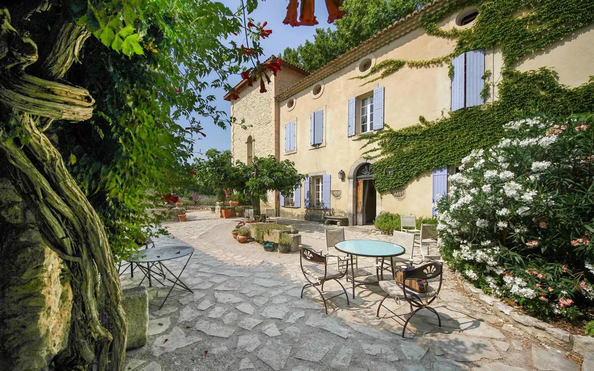 Dog Friendly Hotel $Le Thor - $Les Carmes and spa