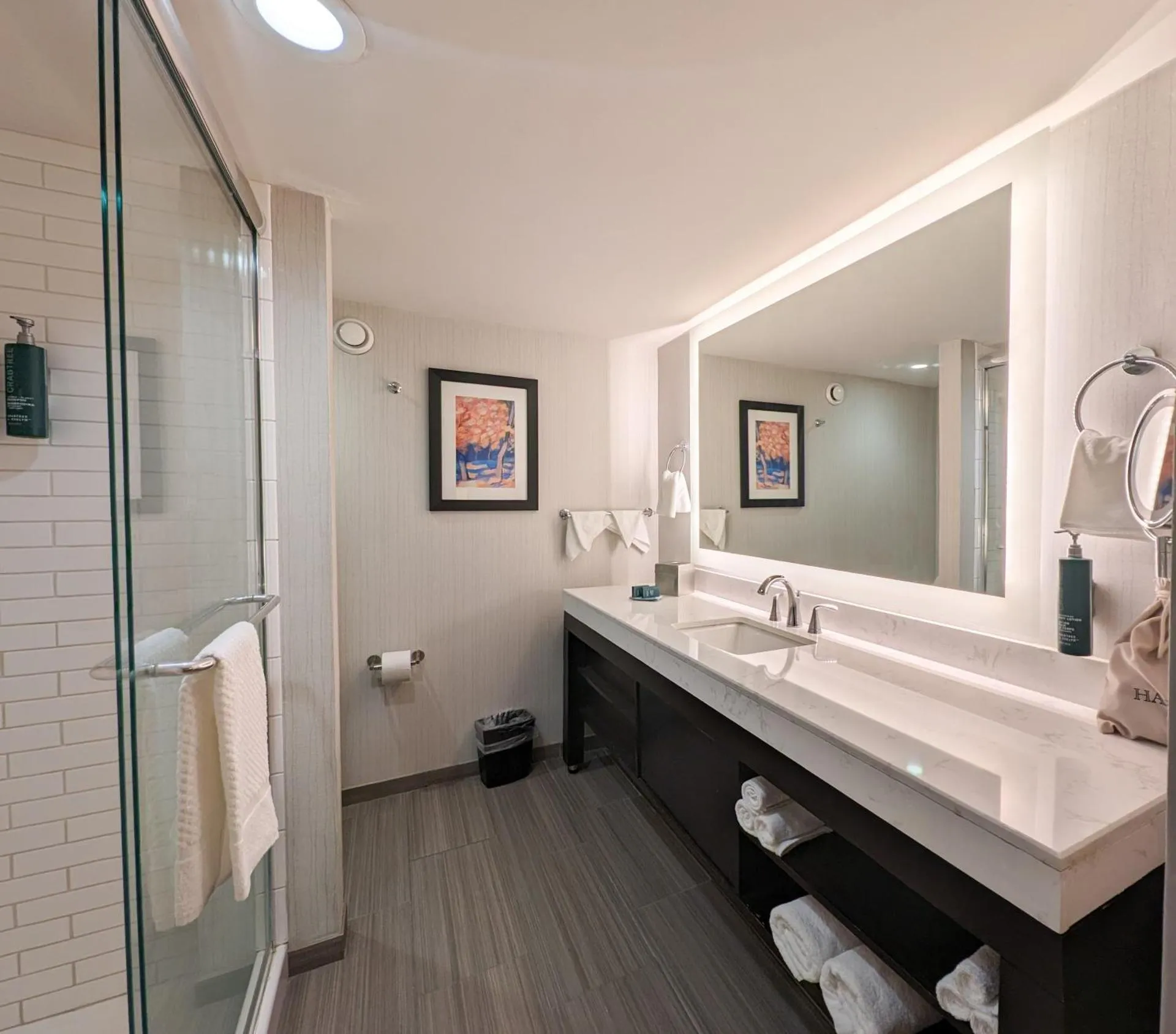 Dog Friendly Hotel $Oak Ridge - $DoubleTree by Hilton Hotel Oak Ridge - Knoxville