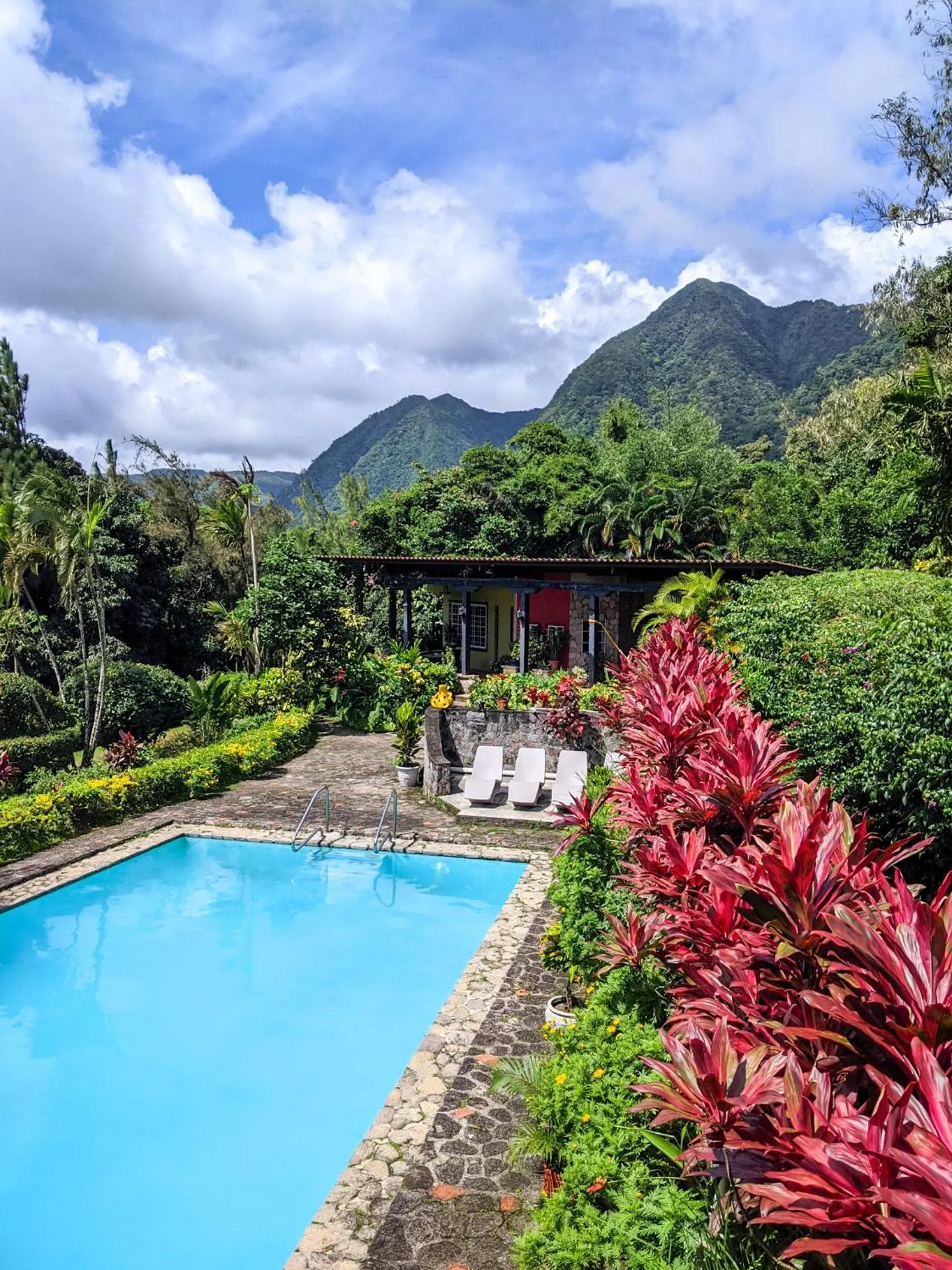 Dog Friendly Hotel $Valle de Anton - $The Golden Frog Inn