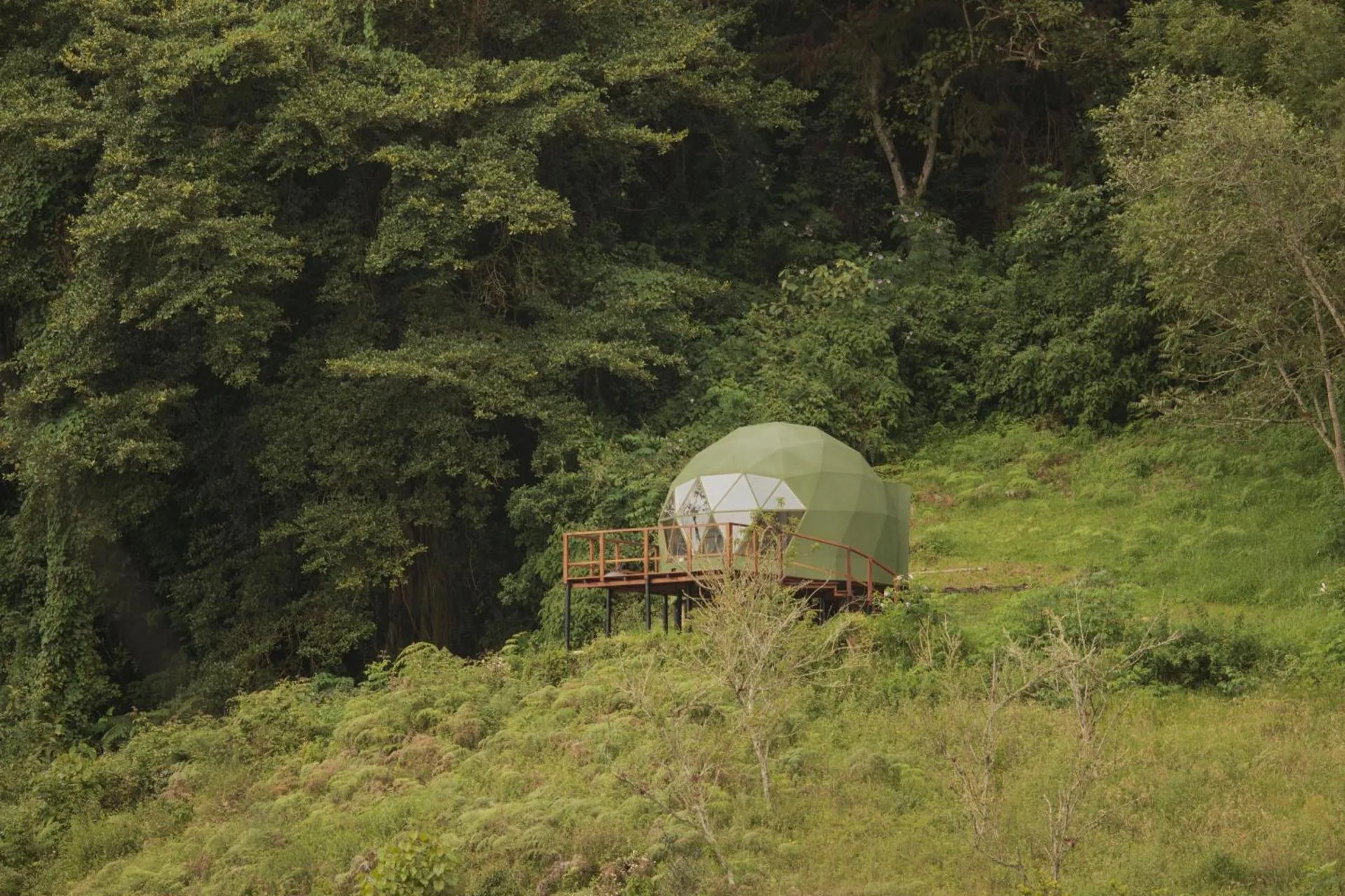 Glamping Cúspide