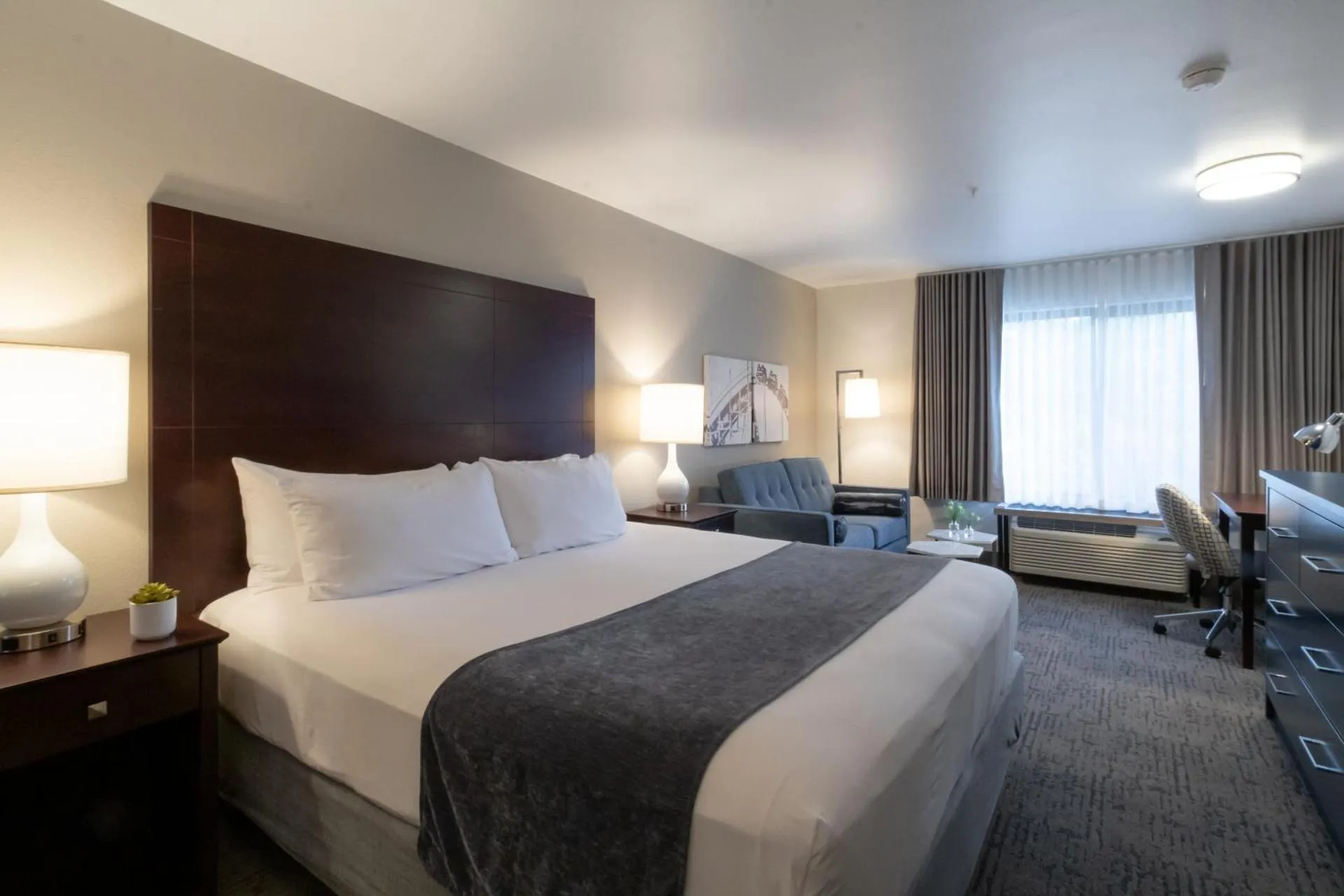 Dog Friendly Hotel $Portland - $Oxford Suites Portland - Jantzen Beach