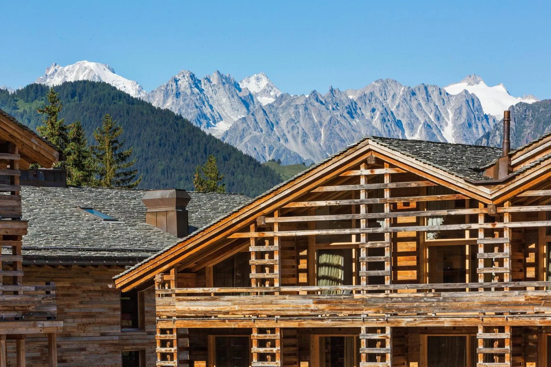 Dog Friendly Hotel $Verbier - $W Verbier