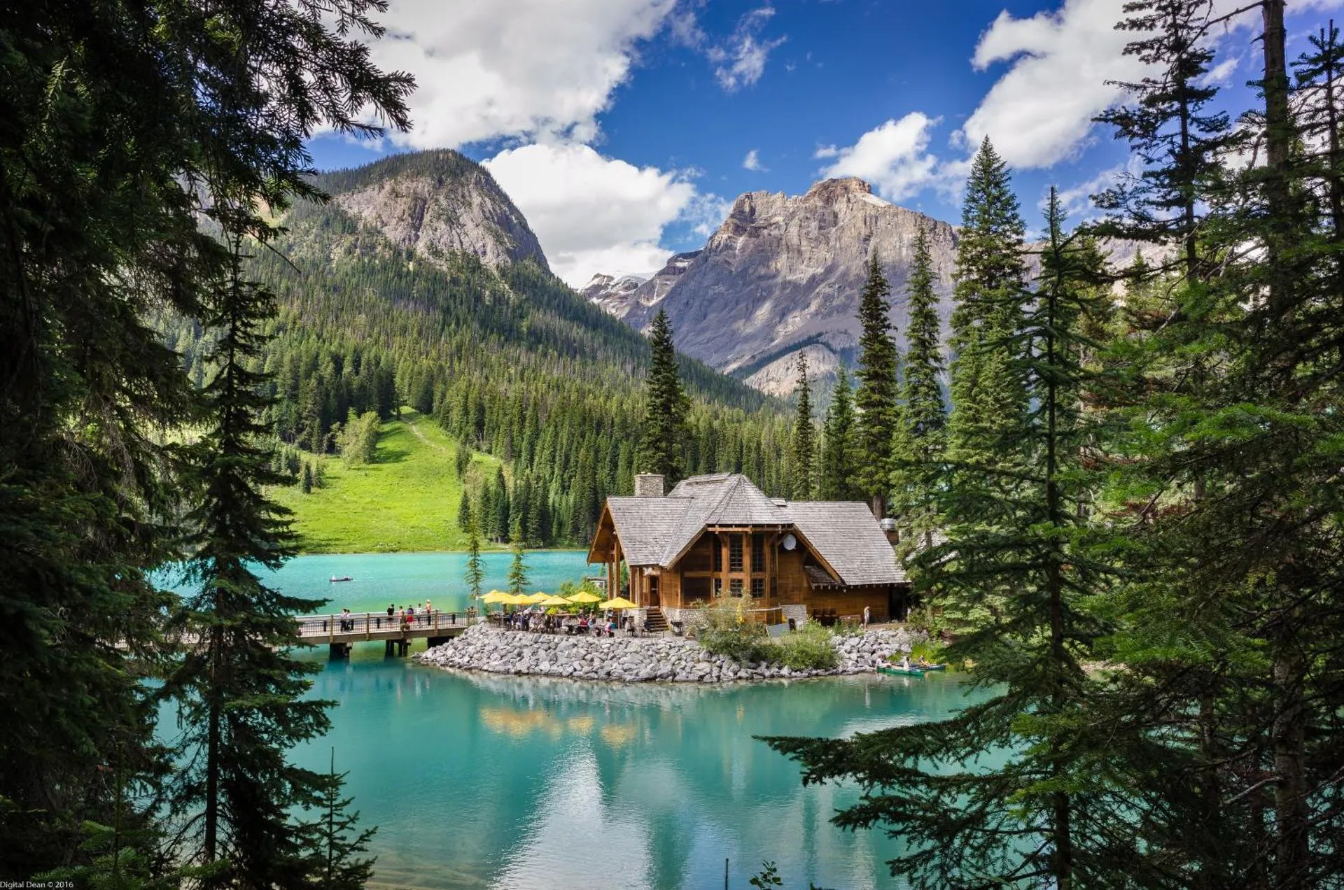 Dog Friendly Resort $Field - $Emerald Lake Lodge