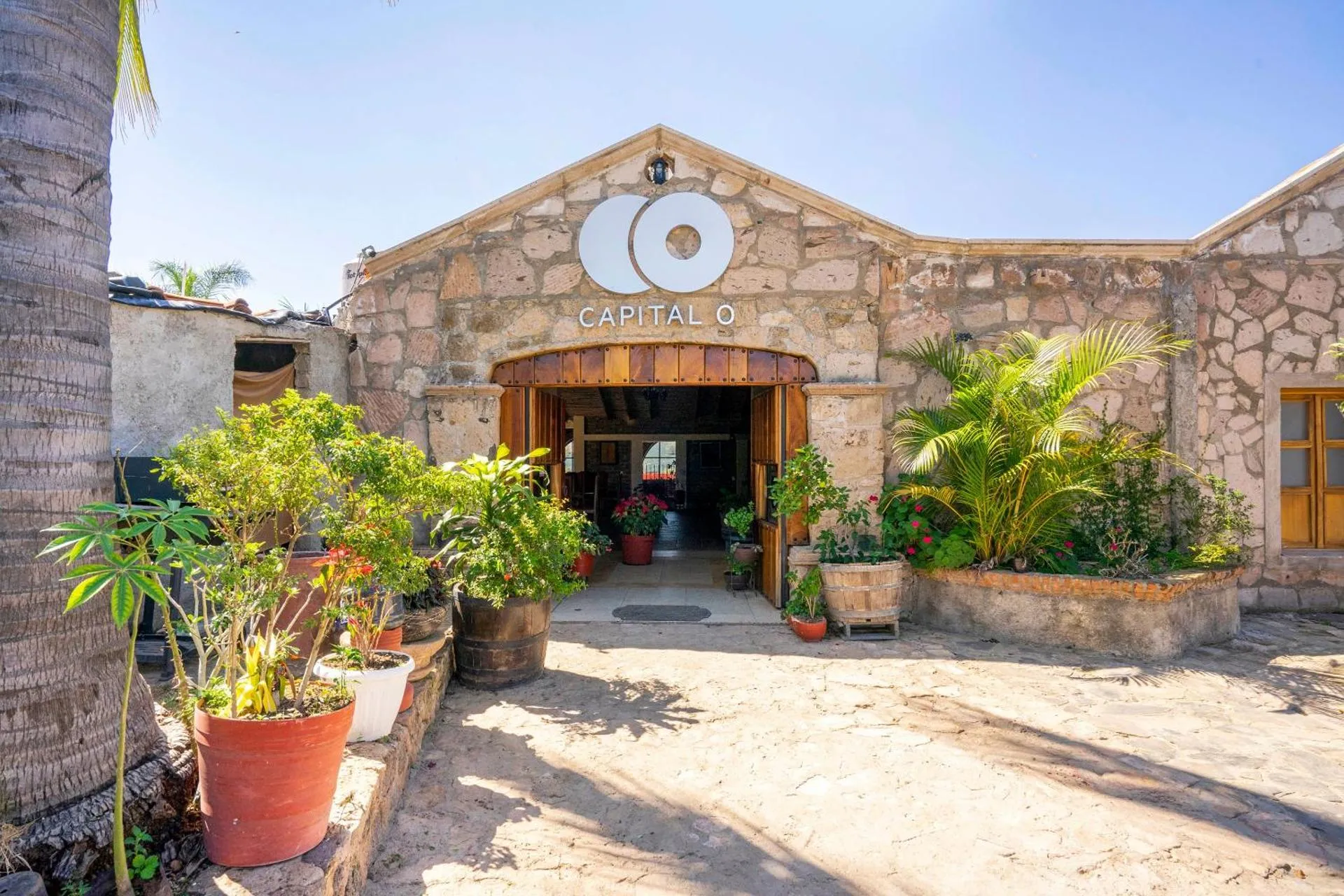 Capital O Hotel Posada Terraza, Tequila Jalisco