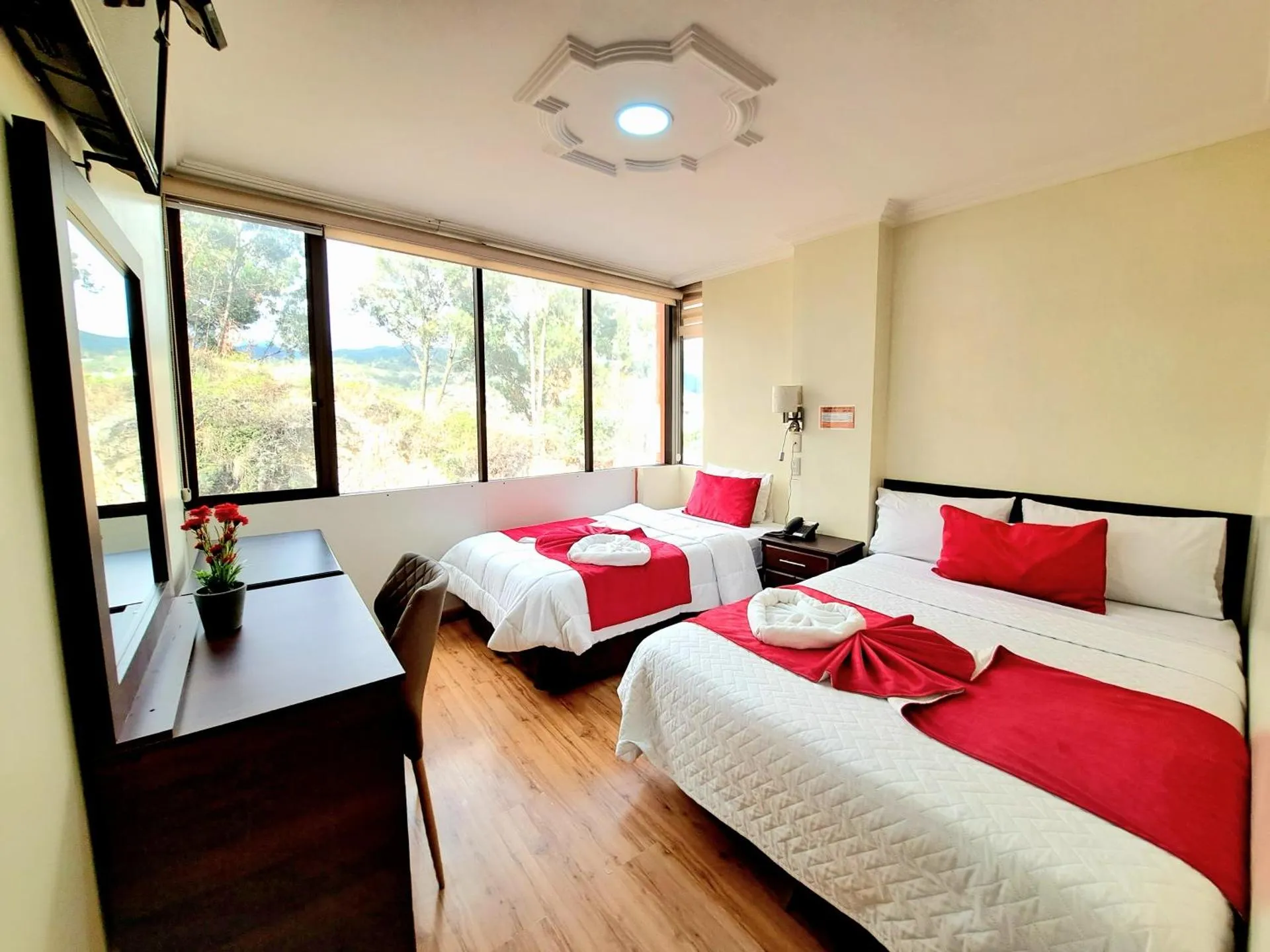 Hotel Loja Bella