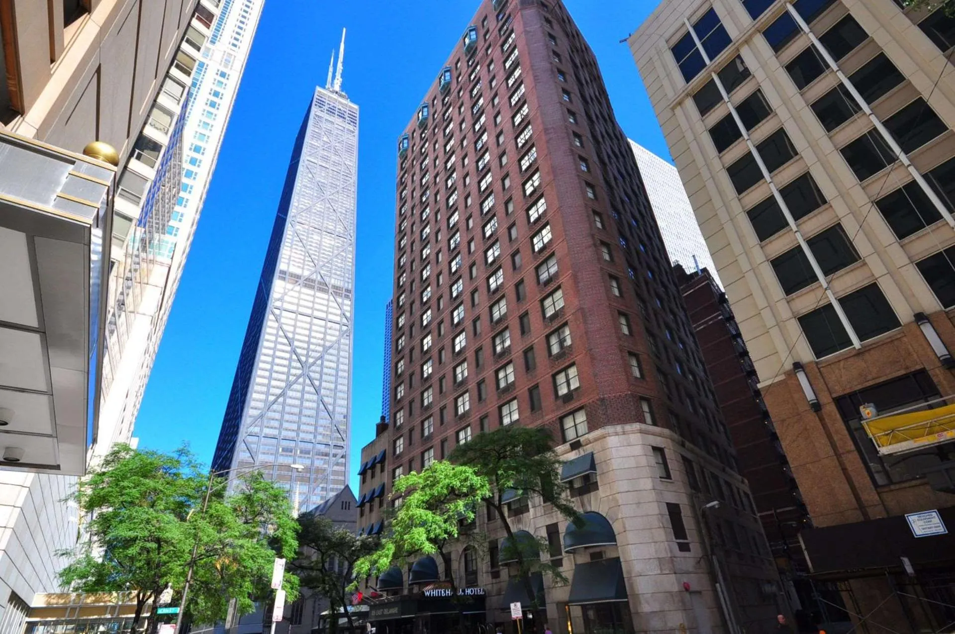 Dog Friendly Hotel $Chicago - $The Whitehall Hotel