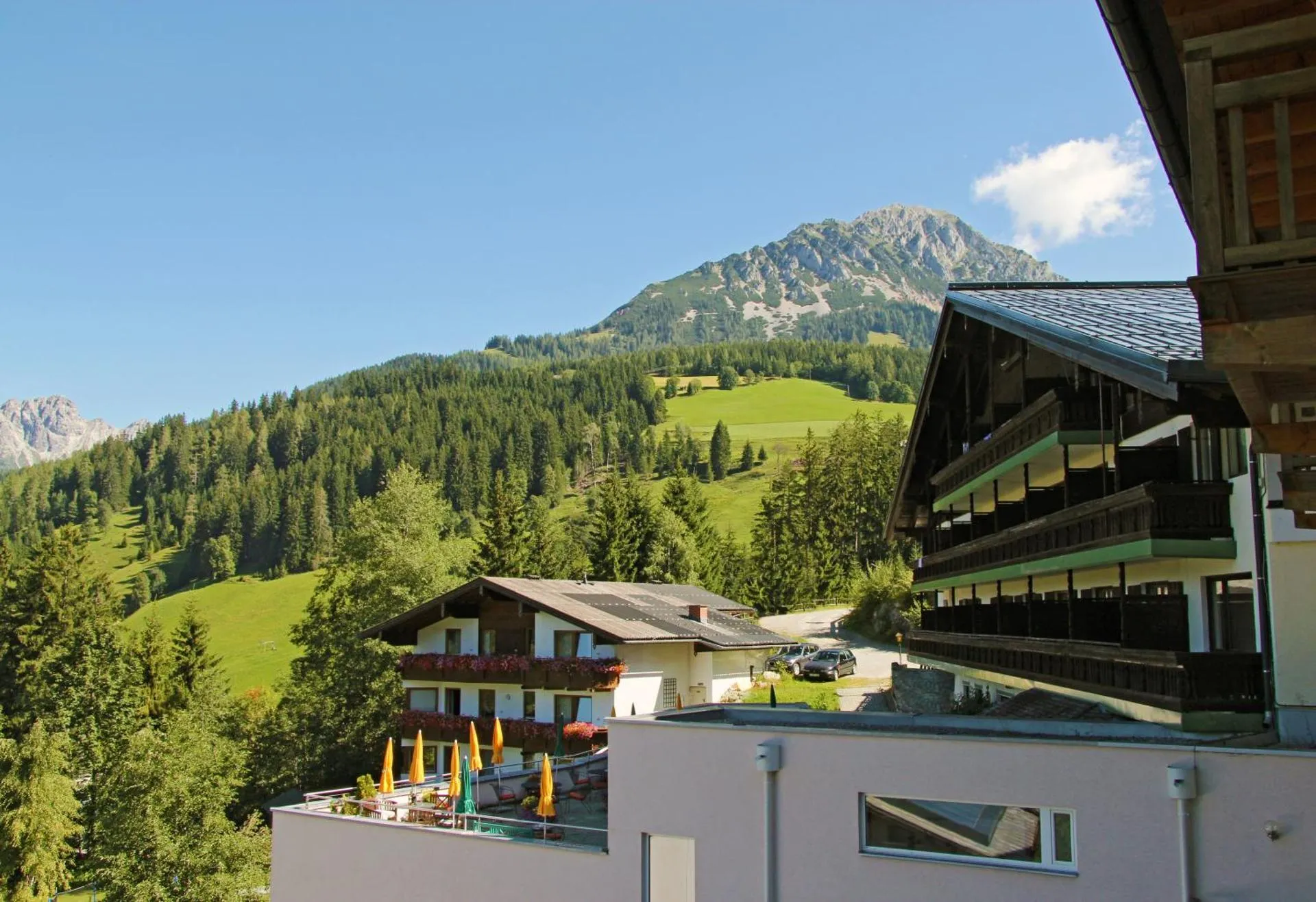 Dog Friendly Hotel $Filzmoos - $Hotel Alpenkrone