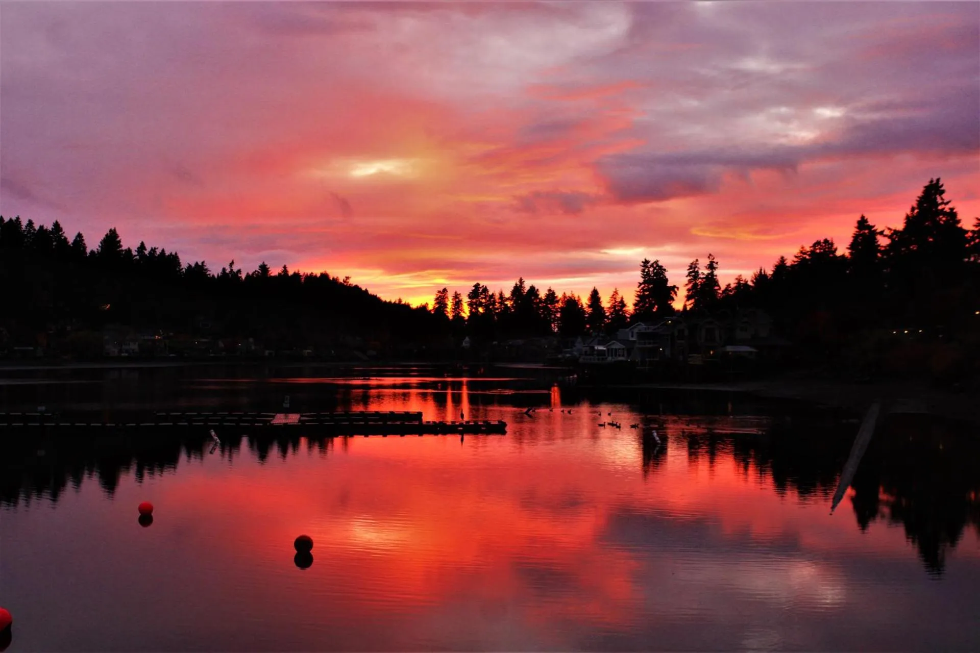 Dog Friendly Hotel $Lake Oswego - $Lakeshore Inn