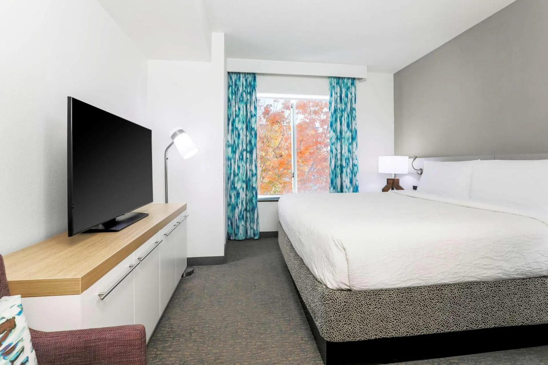 Dog Friendly Hotel $Tulsa - $Hilton Garden Inn Tulsa South