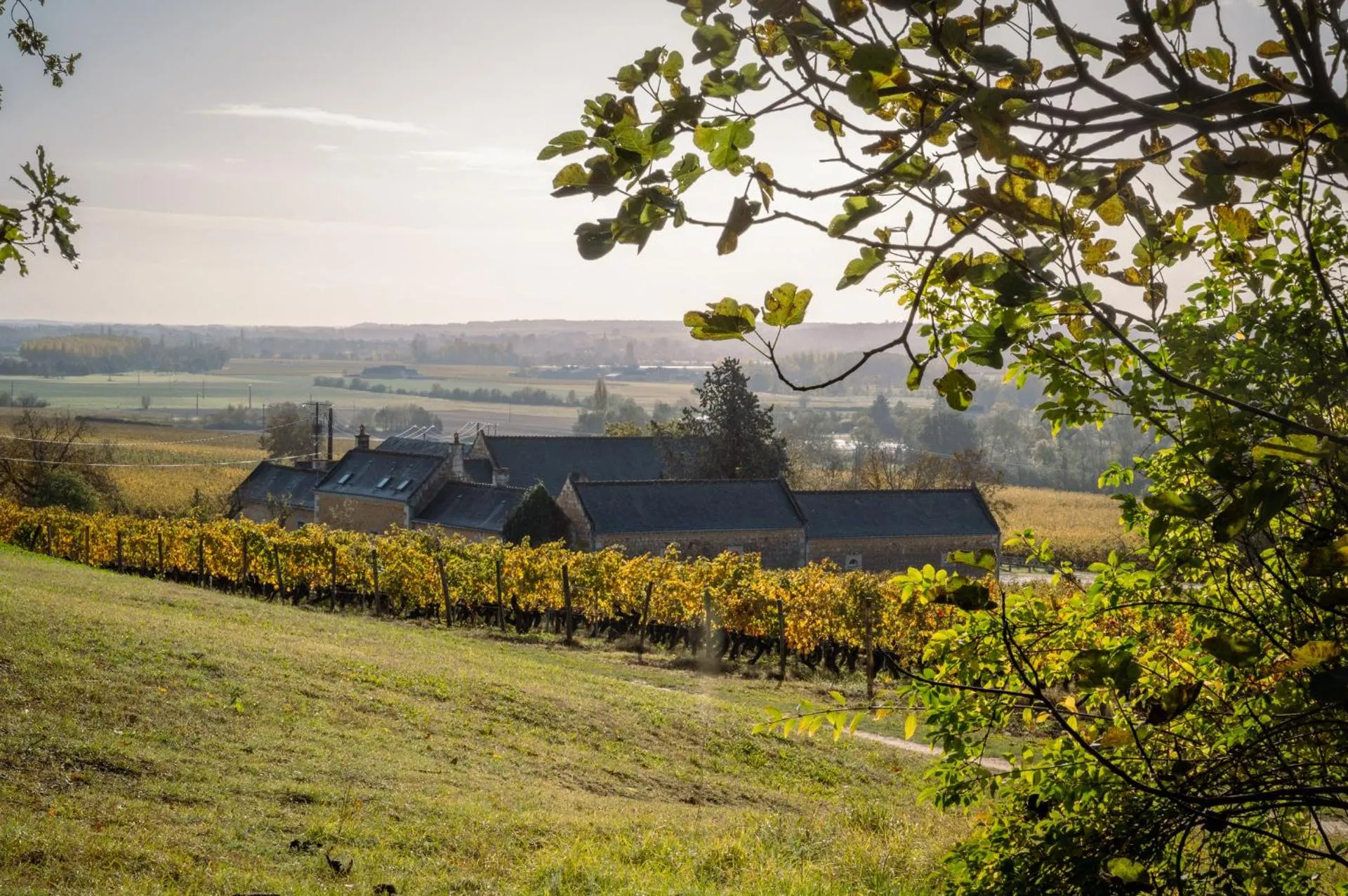 Domaine de Beauséjour