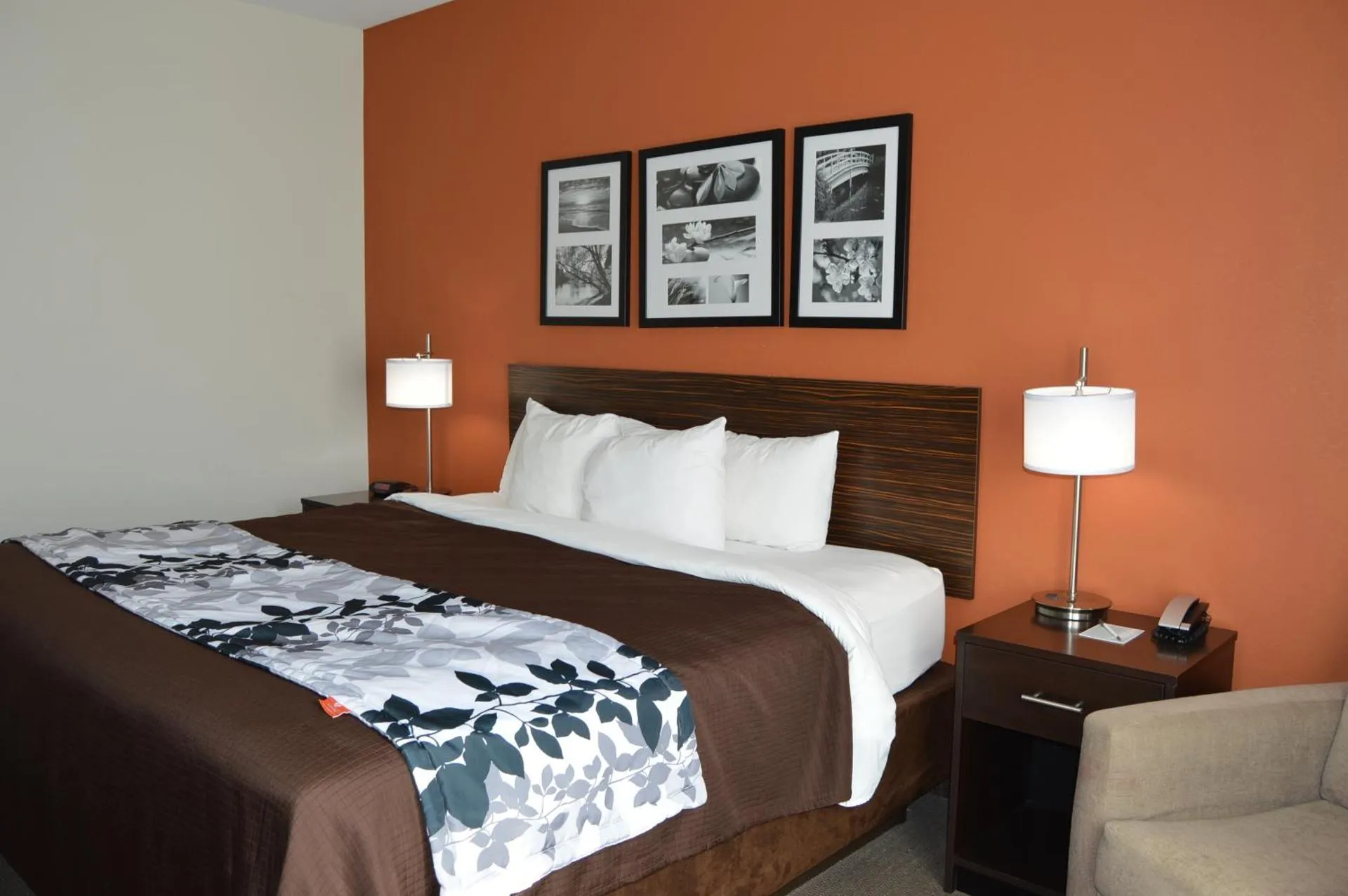 Dog Friendly Hotel $Elk City - $Sleep Inn & Suites Elk City