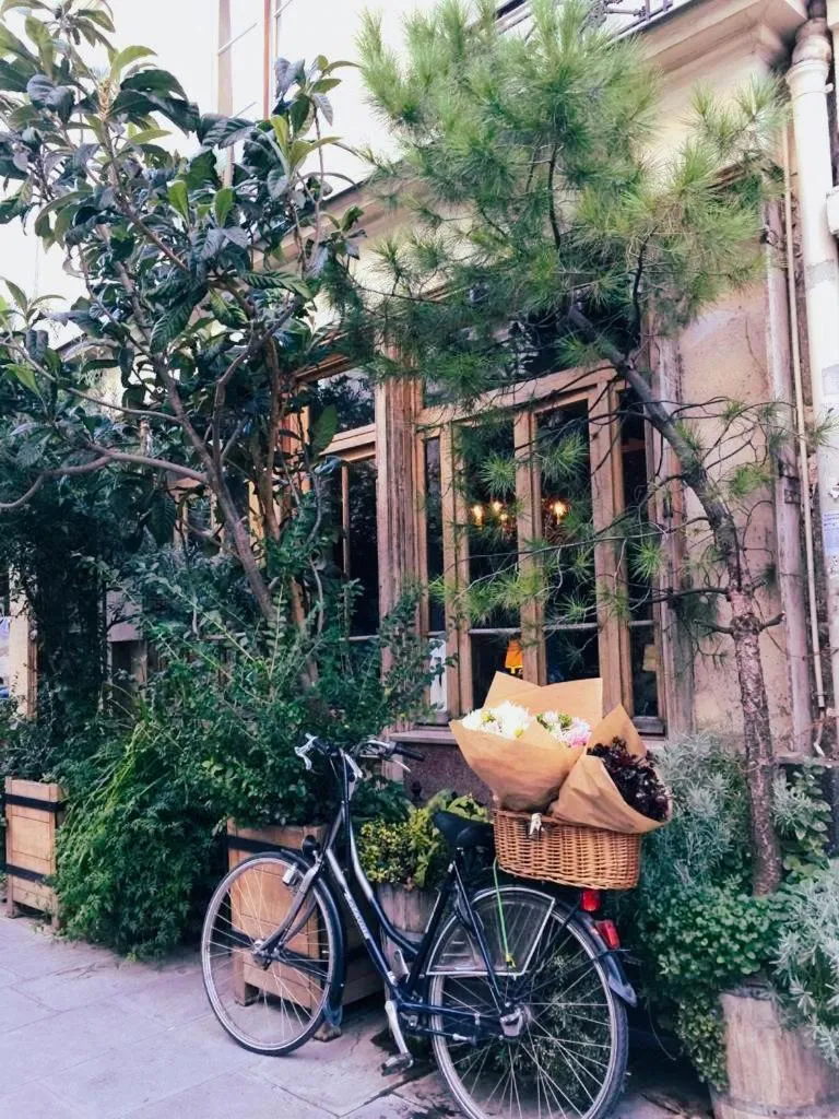 Dog Friendly Hotel $Paris - $Boutique Hotel de la Place des Vosges