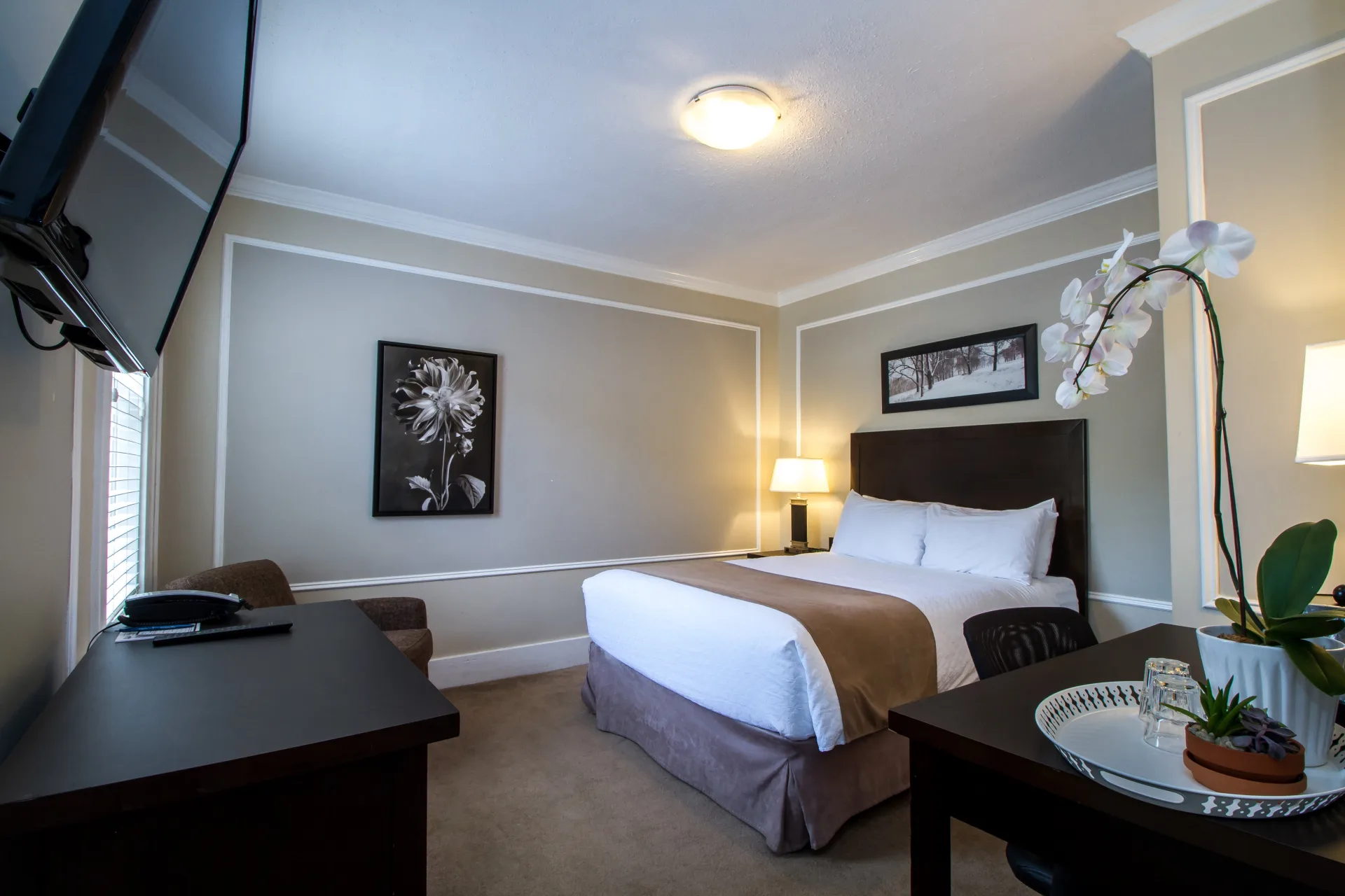 Regent Hotel Revelstoke, a dog friendly hotel in Revelstoke