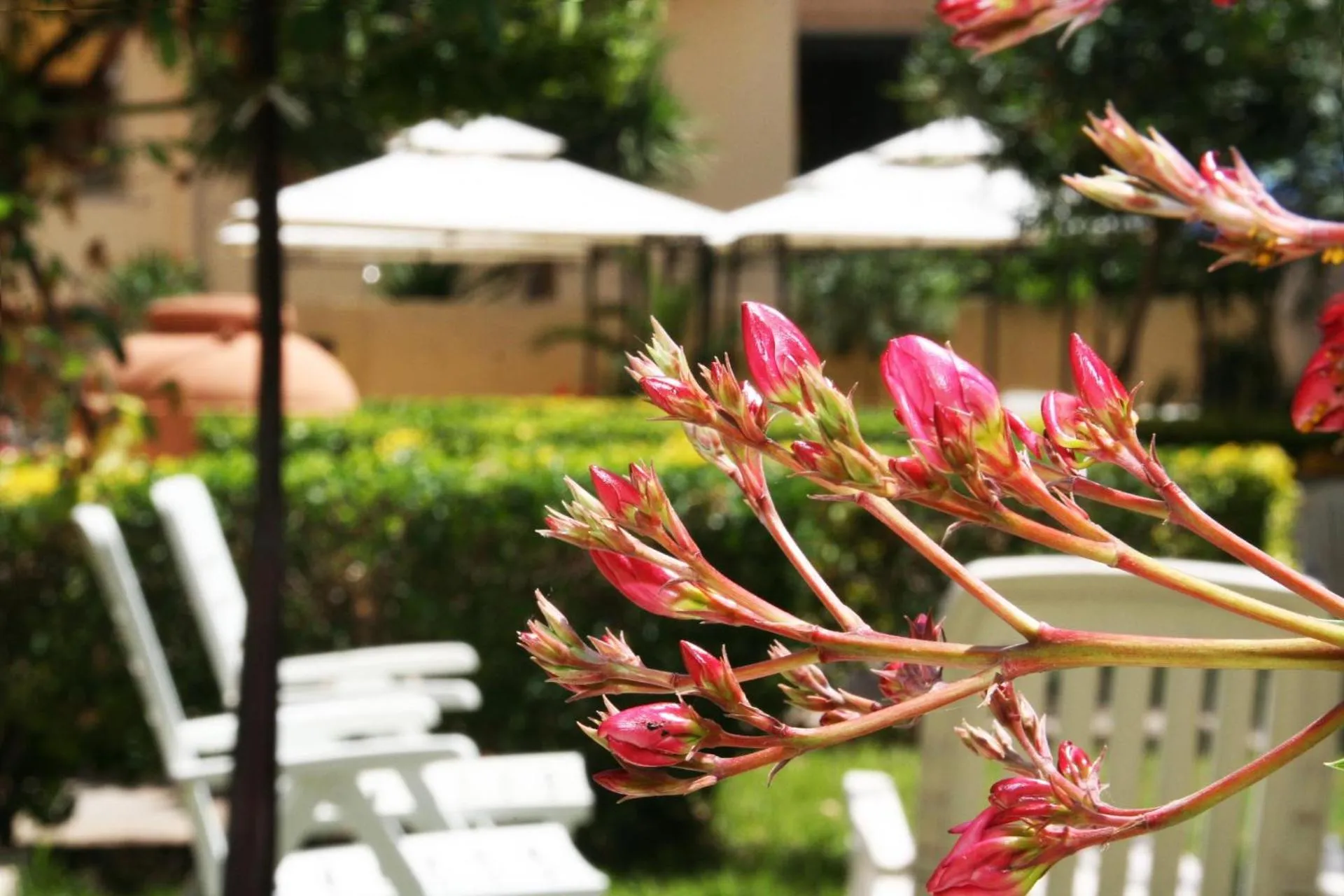 Solemare B&B - Apartments Alghero