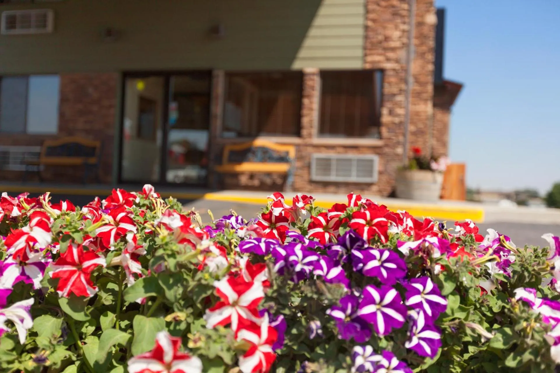 Dog Friendly Hotel $Columbus - $Super 8 by Wyndham Columbus