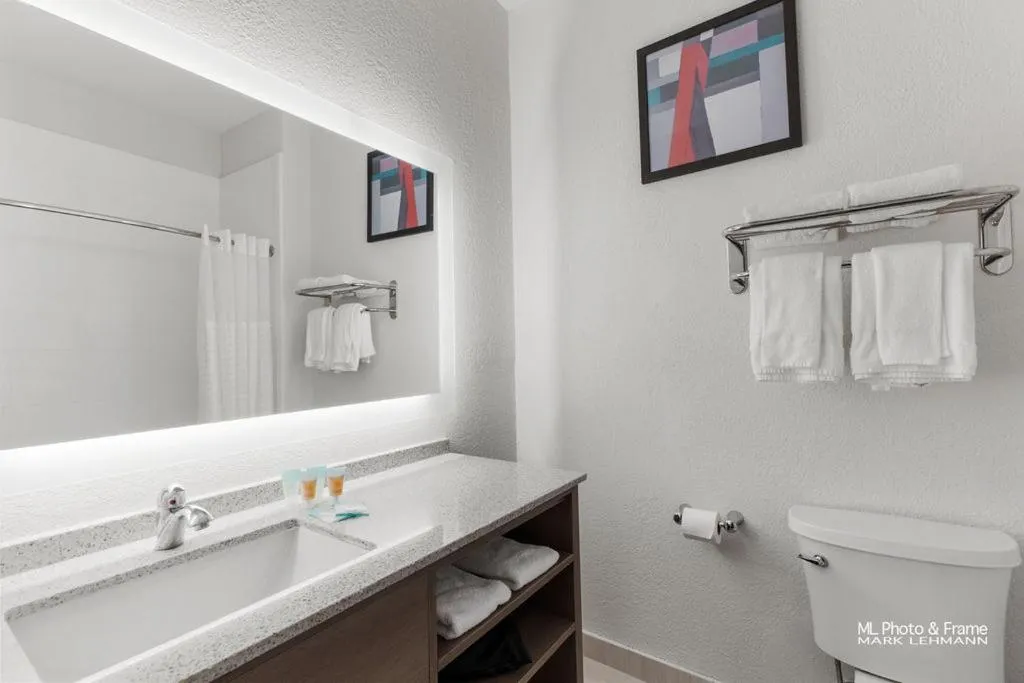 Dog Friendly Hotel $Laredo - $Amerik Suites Laredo at Mall Del Norte