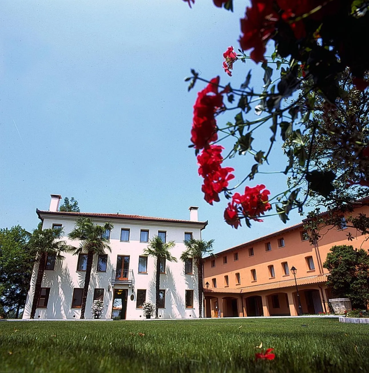 Dog Friendly Hotel $Ghirano - $Hotel Dall'Ongaro