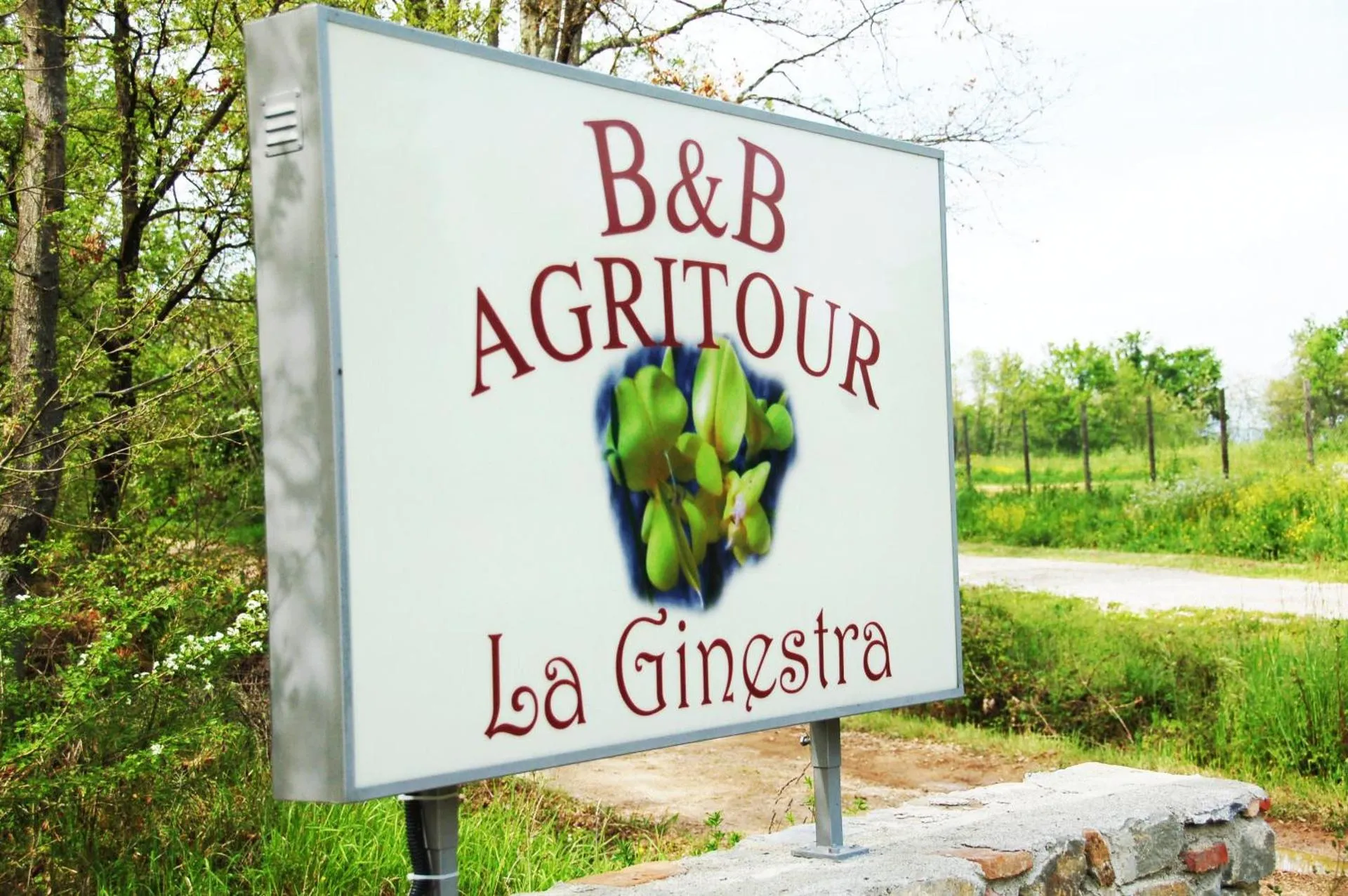 Dog Friendly Bed and breakfast $Orentano - $La Ginestra