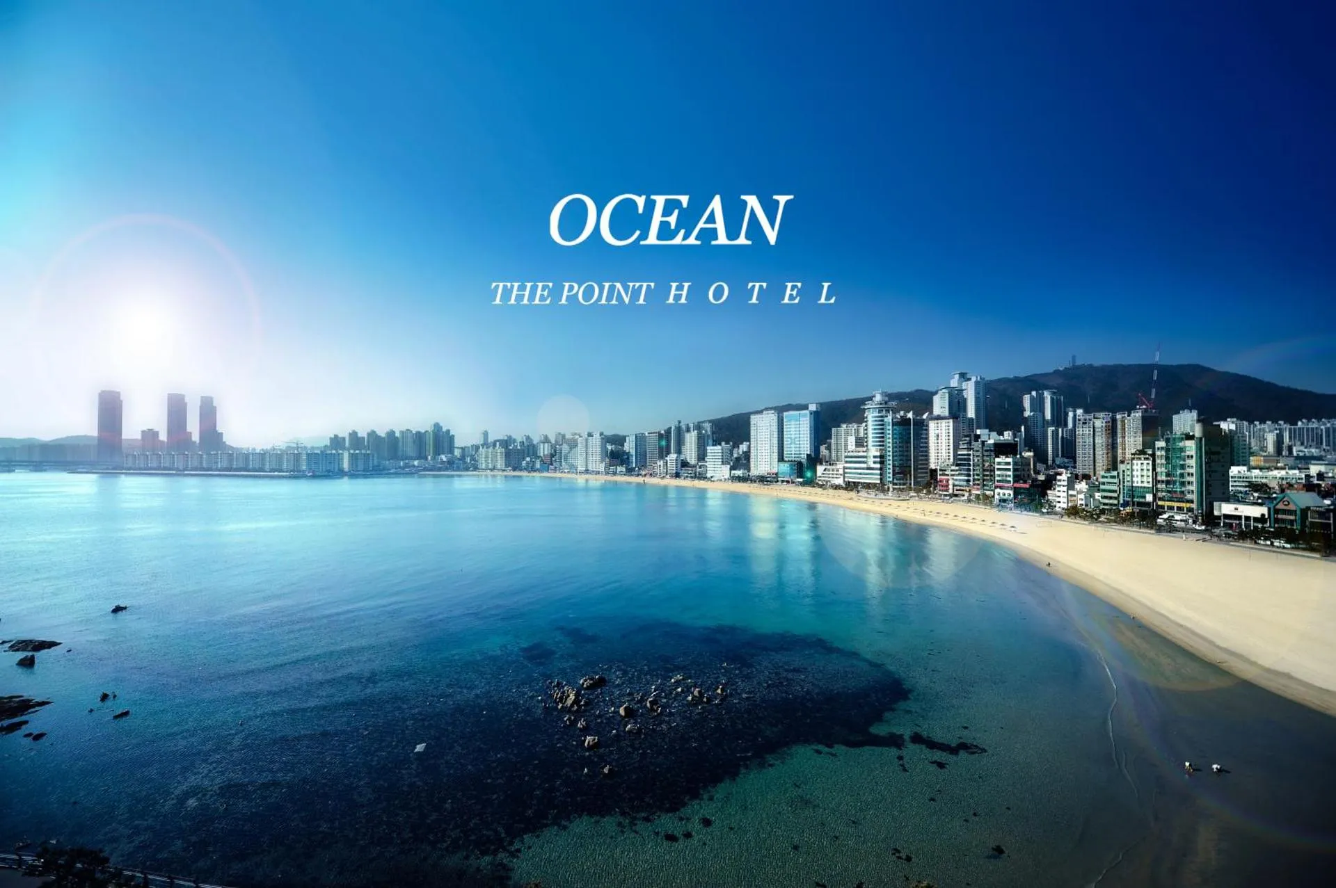 Dog Friendly Hotel $Busan - $Ocean The Point Hotel