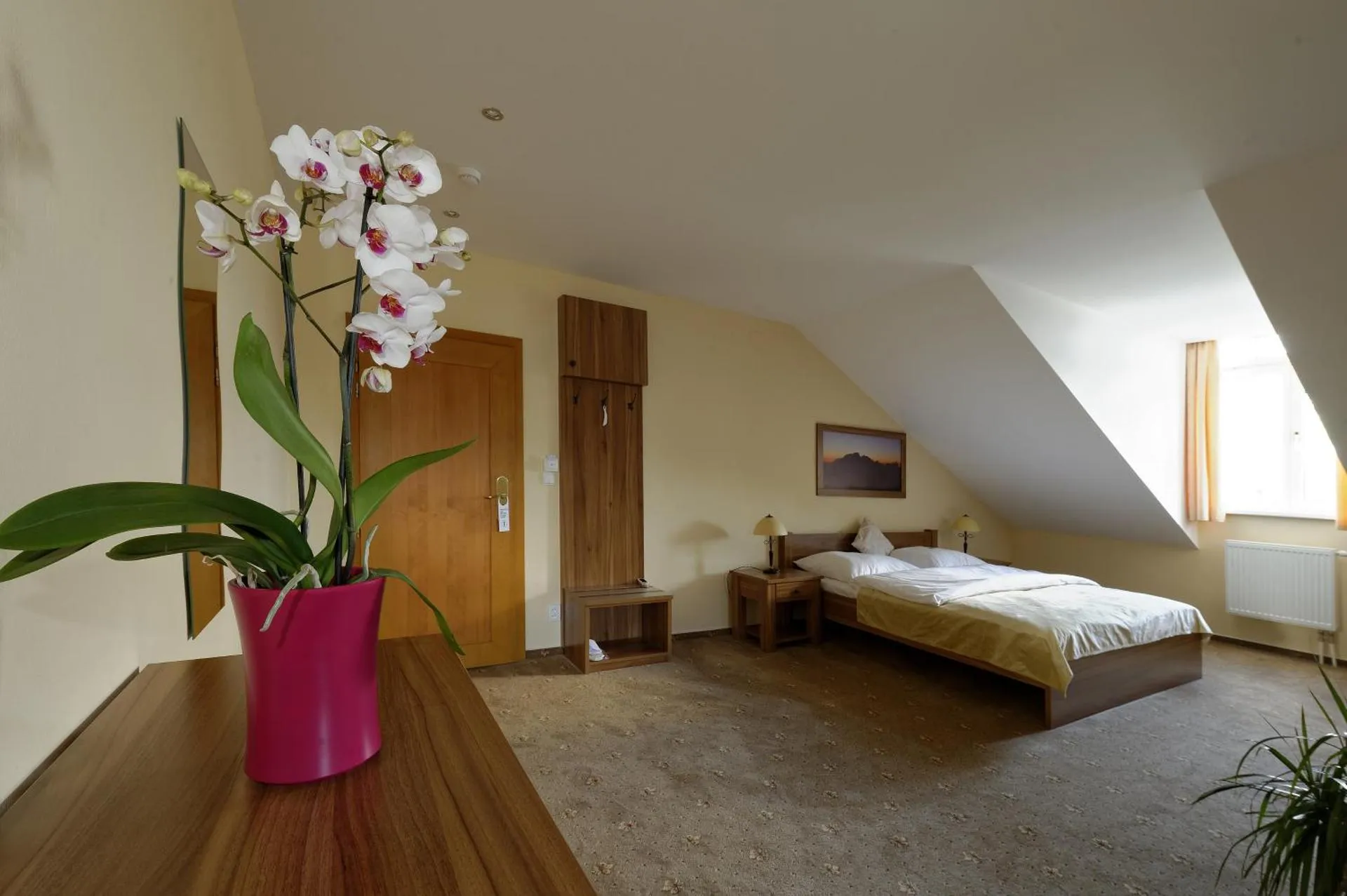 Hotel Solisko