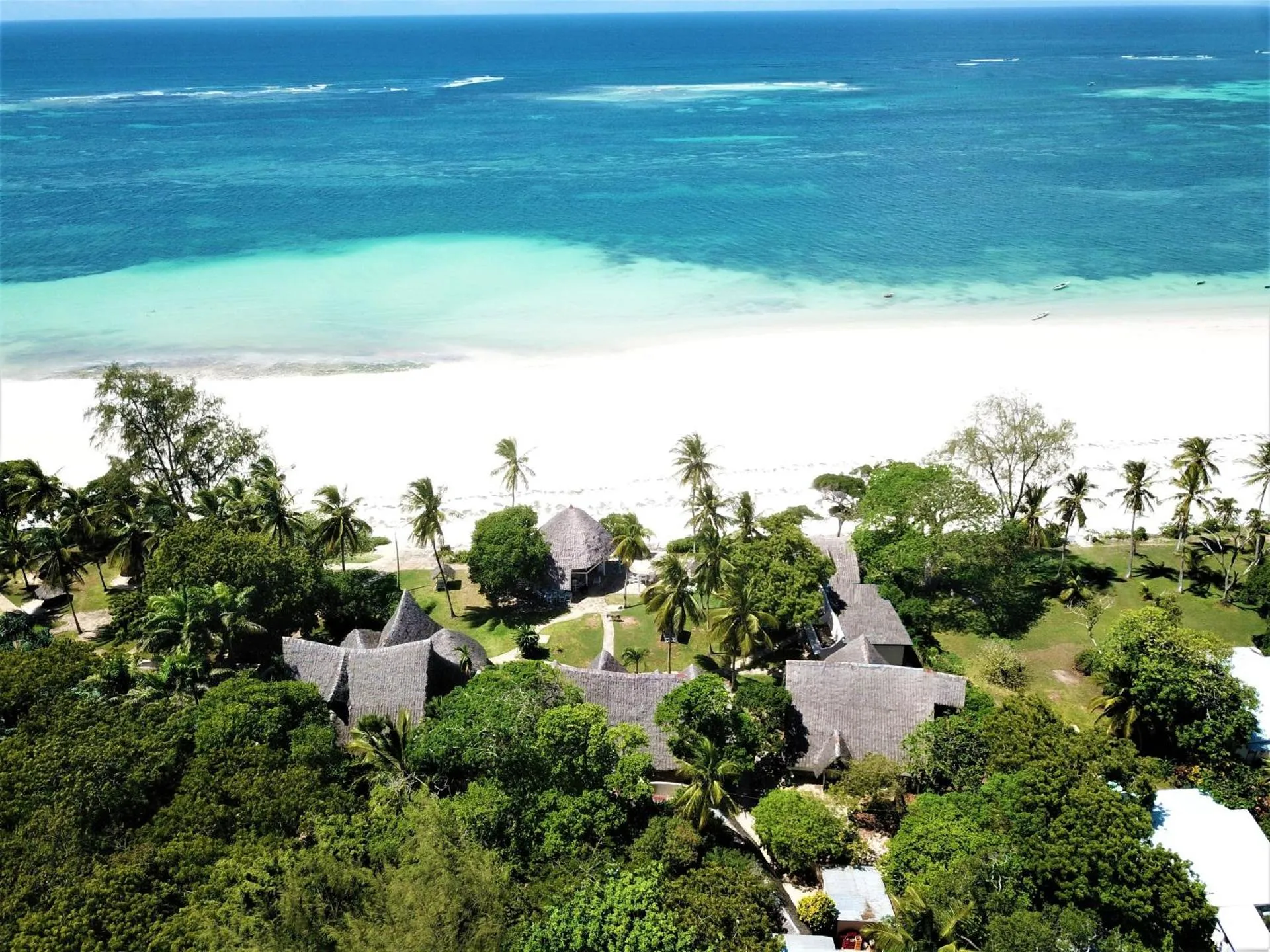 Dog Friendly Hotel $Diani Beach - $Eleven Pearl Boutique Hotel & Spa
