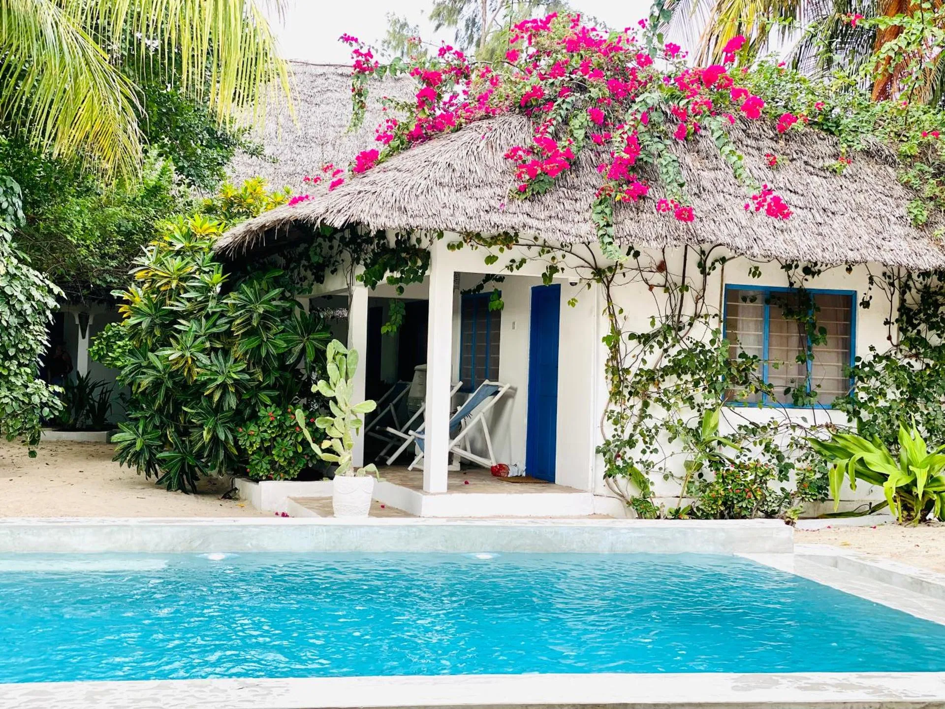 Dog Friendly Hotel $Nungwi - $Badolina Bungalows