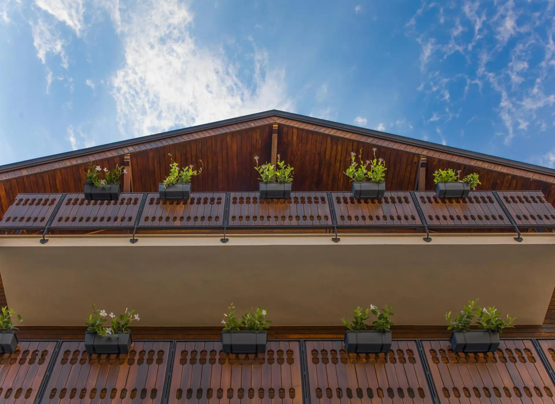 Dog Friendly Hotel $Castelmezzano - $Hotel Dolomiti
