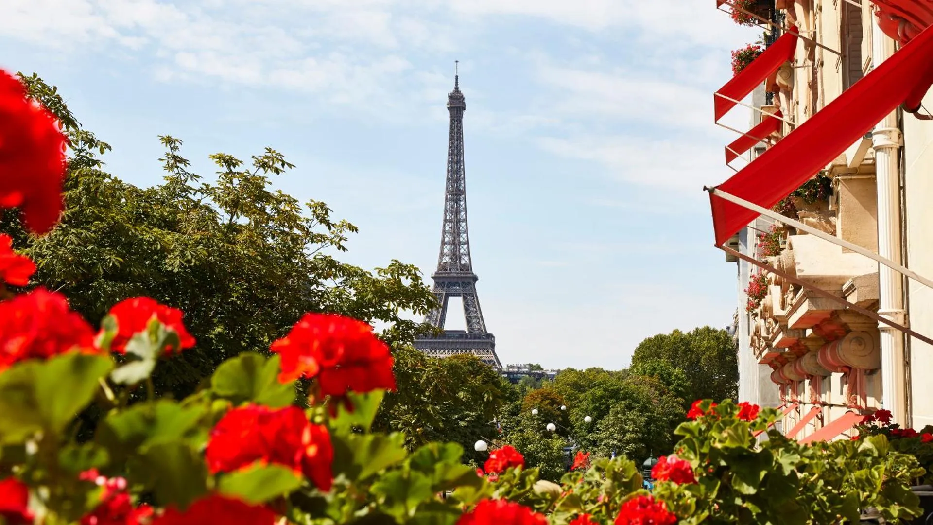 Dog Friendly Hotel $Paris - $Hôtel Plaza Athénée - Dorchester Collection