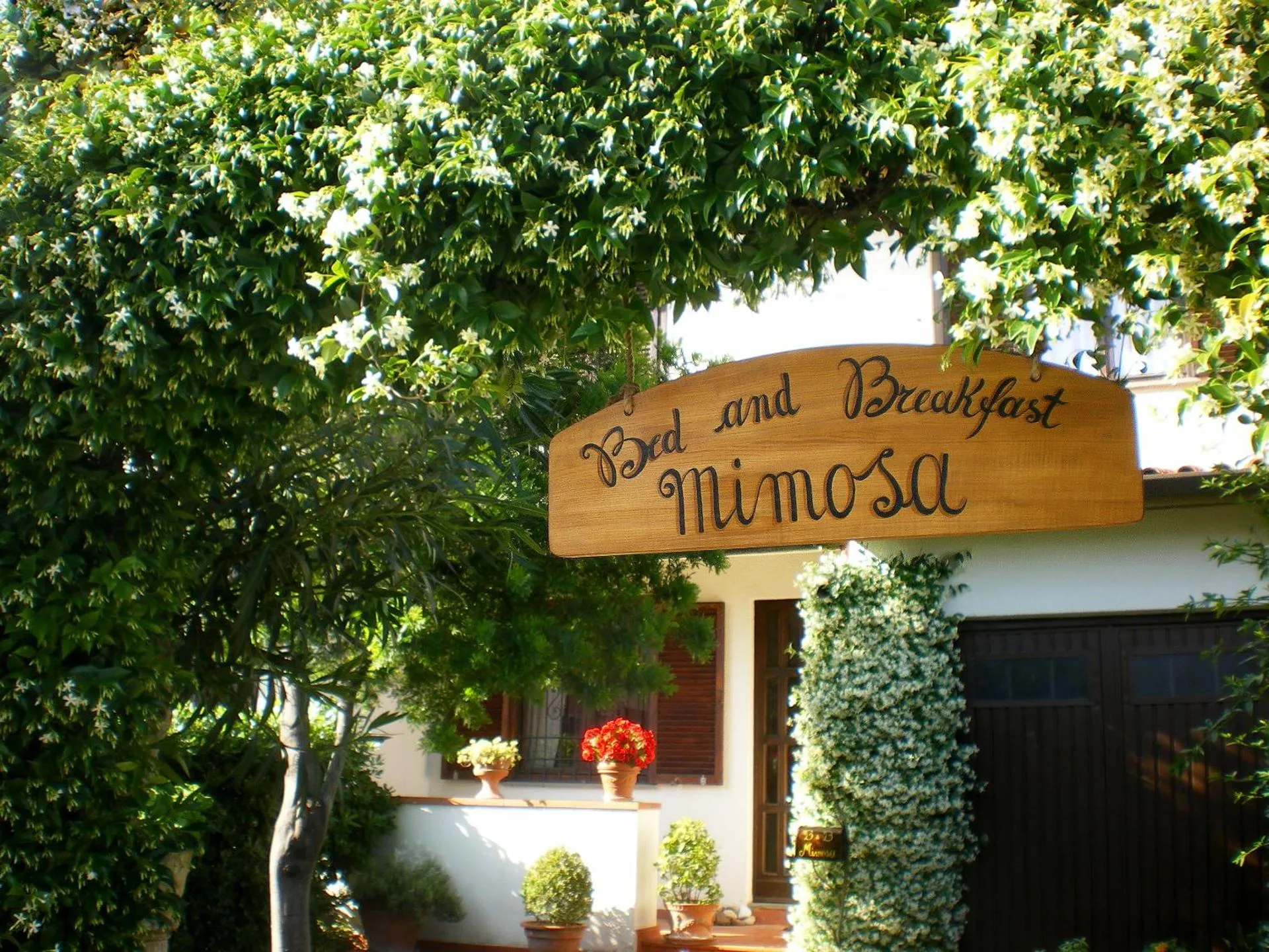 Bed and Breakfast Mimosa