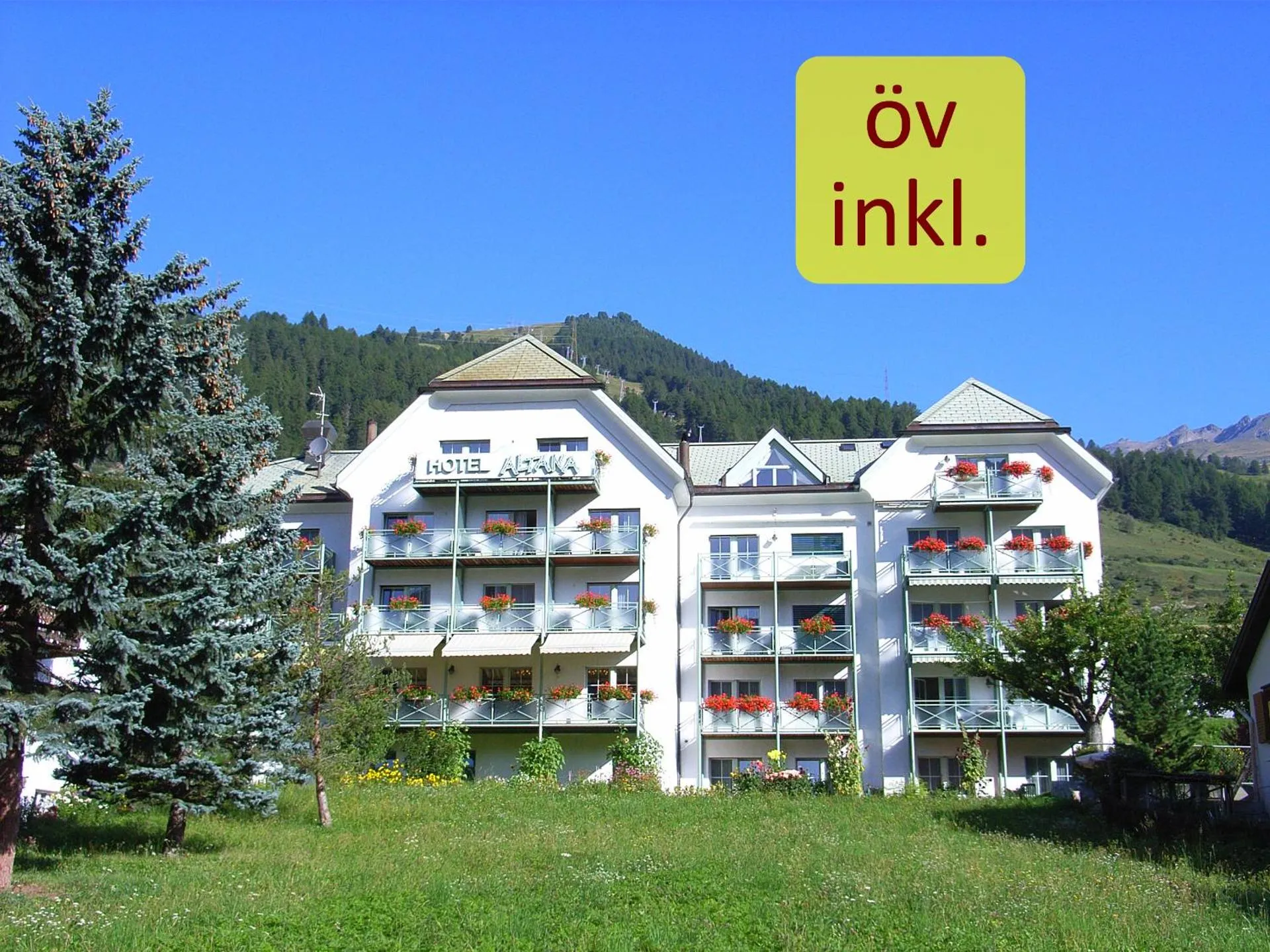 Dog Friendly Hotel $Scuol - $Typically Swiss Hotel Altana