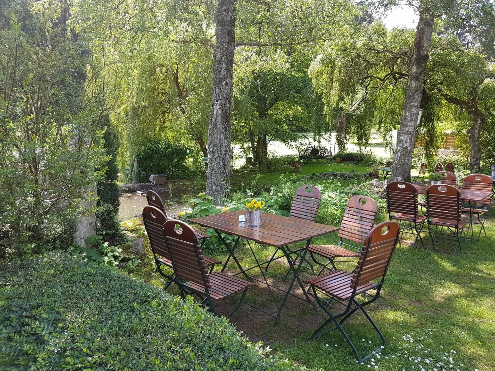 Dog Friendly Inn $Waldhölzbach - $Forellenhof-Waldhölzbach