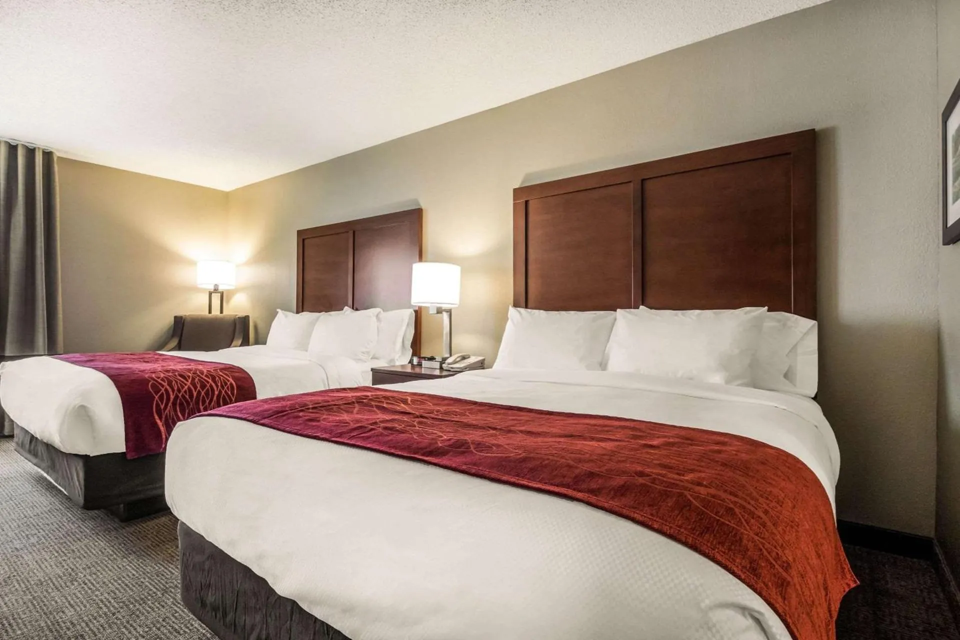 Dog Friendly Hotel $Ottawa - $Comfort Inn Ottawa Starved Rock Area