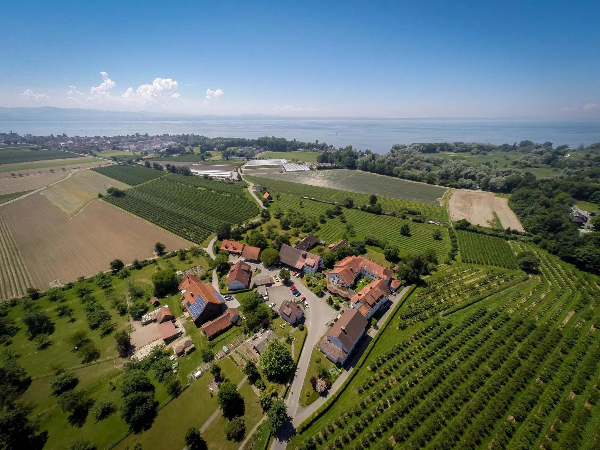 Dog Friendly Hotel $Eriskirch - $Gästehaus St Theresia Bodensee