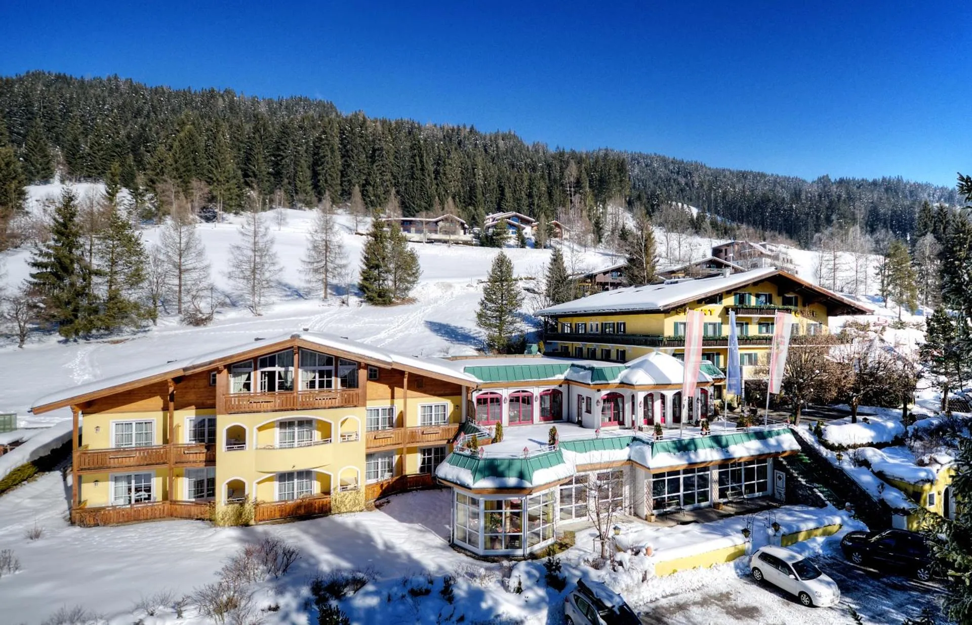 Dog Friendly Hotel $Radstadt - $Hotel Gründlers