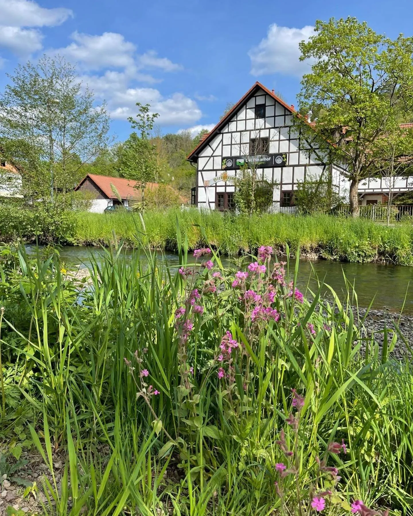 Dog Friendly Hotel $Dillstädt - $Hotel Der Distelhof garni